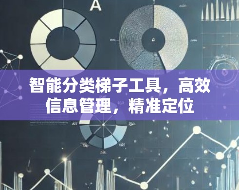 智能分类梯子工具，高效信息管理，精准定位