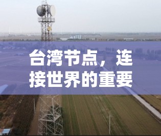 台湾节点，连接世界的重要桥梁